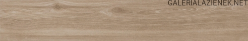 Tigre Desert 20x120 f1.jpg