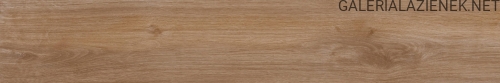 Tigre Sabbia 20x120 f2.jpg