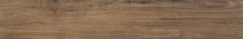 01.webp