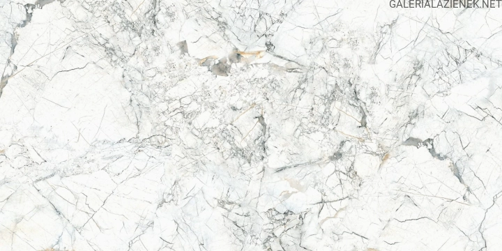 Quarzo Bianco 60x120 f1.jpg