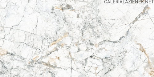 Quarzo Bianco 60x120 f2.jpg