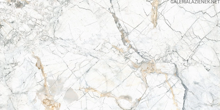 Quarzo Bianco 60x120 f3.jpg