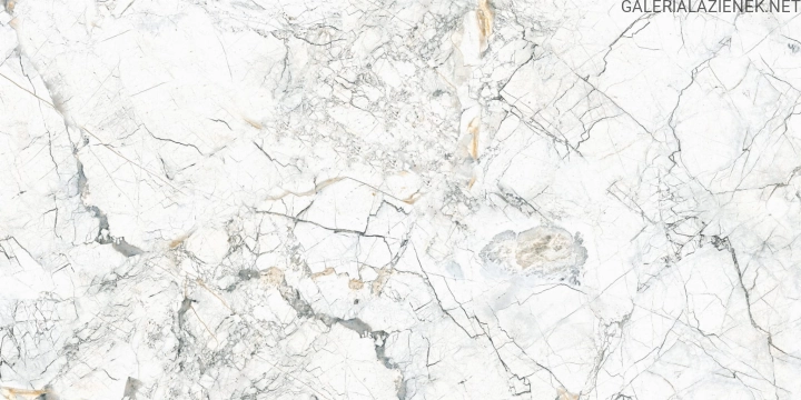 Quarzo Bianco 60x120 f4.jpg