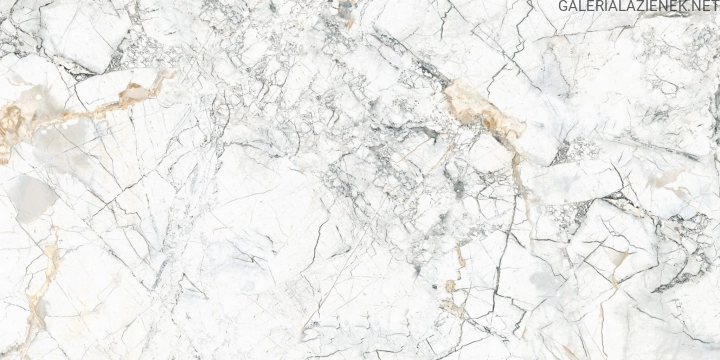 Quarzo Bianco 60x120 f5.jpg