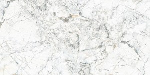 AG Home Quarzo Bianco POL 60x120