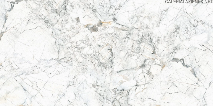 Quarzo Bianco 60x120 f1.jpg