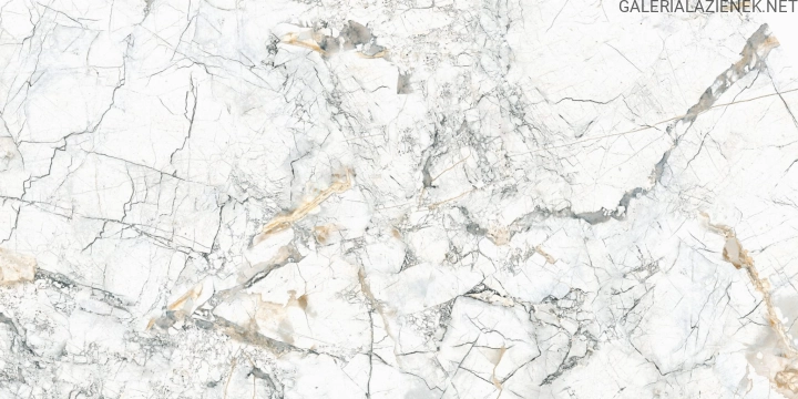 Quarzo Bianco 60x120 f2.jpg