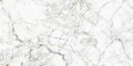 Quarzo Bianco 60x120 f4.jpg