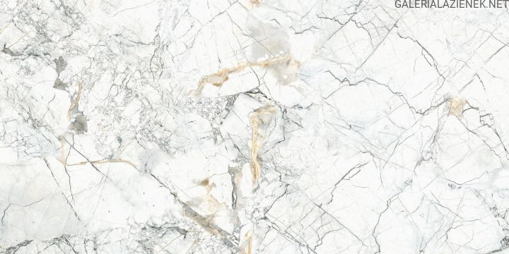 Quarzo Bianco 60x120 f6.jpg