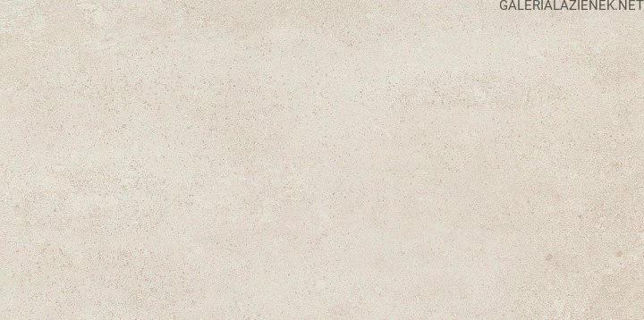 SFUMATO GREY 29,8X59,8.jpg