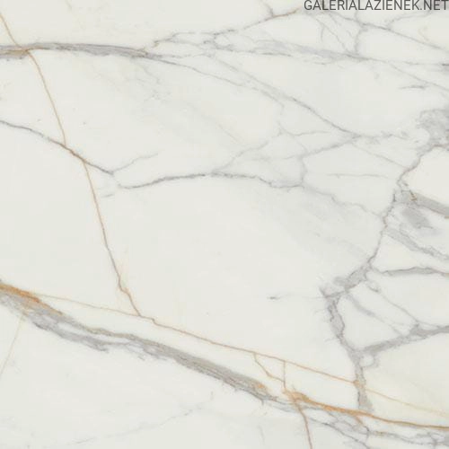 MARMO d`ORO POL 59,8x59,8 Gat I.jpg