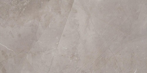 MUSE SILVER 29,8X59,8.jpg