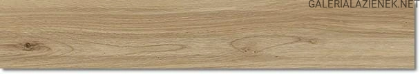 ATELIER JUTA 20x120.jpg