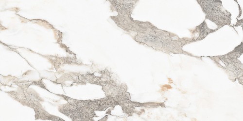 Final_Fisto-Carrara_25_09_2019_C5_8-scaled.jpg