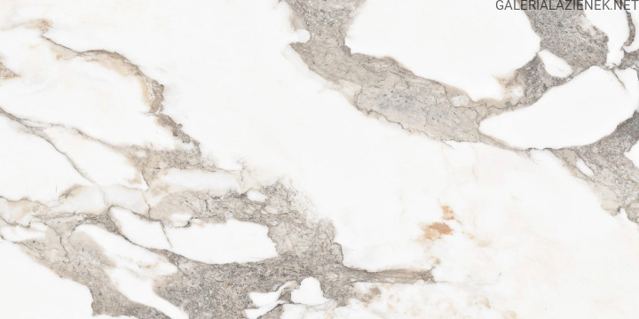 Final_Fisto-Carrara_25_09_2019_C5_8-scaled.jpg