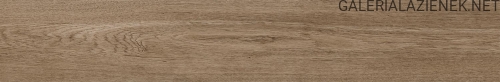 NATURE_MOKA_20x120.jpg