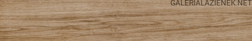 NATURE_ROBLE_20x120.jpg