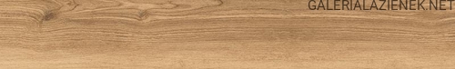 PP-Mountain-Ash-Coral-STR-1498x230-1_EEEnDWv.jpg