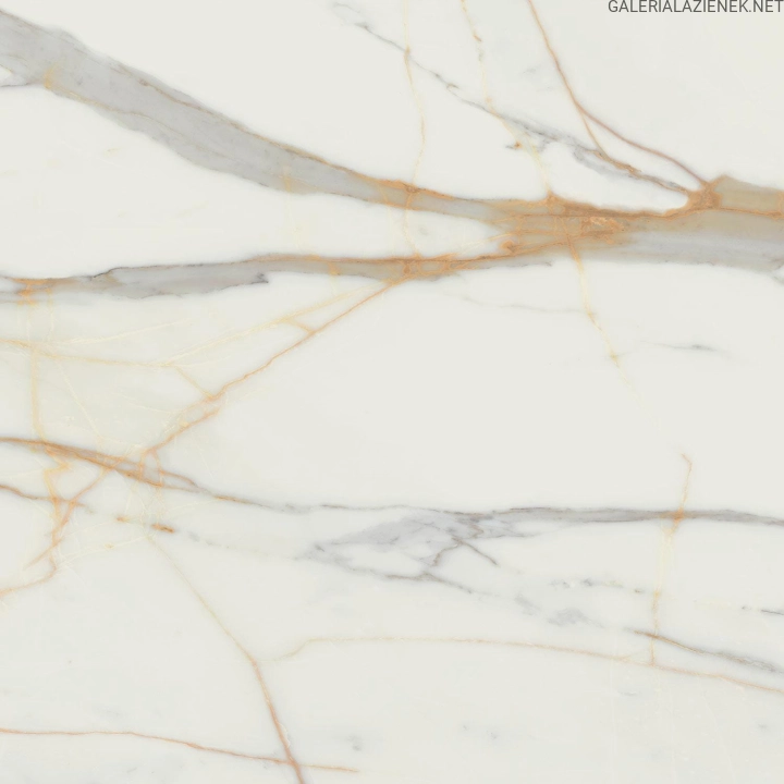 MARMO d`ORO POL 119,8x119,8.jpg
