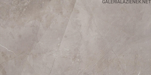 MUSE SILVER 29,8X59,8.jpg
