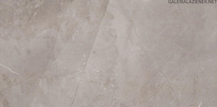 MUSE SILVER 29,8X59,8.jpg