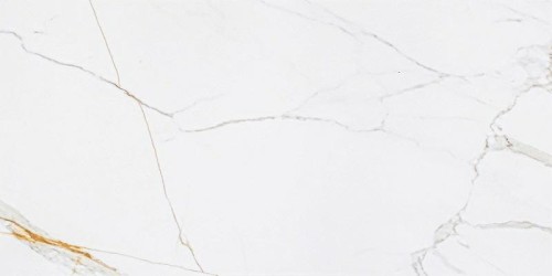 CORIENTO GOLD POLER GRS.376 B.P 120X60.jpg