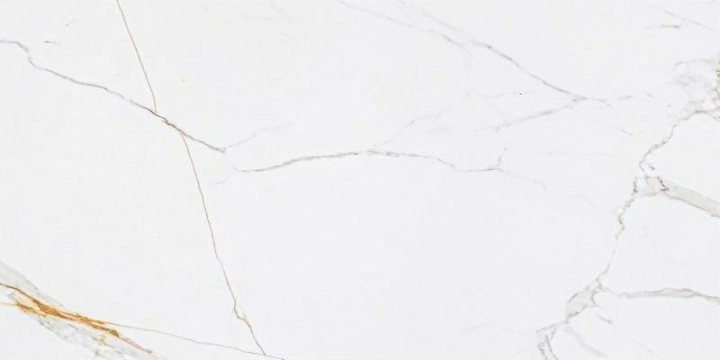 CORIENTO GOLD POLER GRS.376 B.P 120X60.jpg