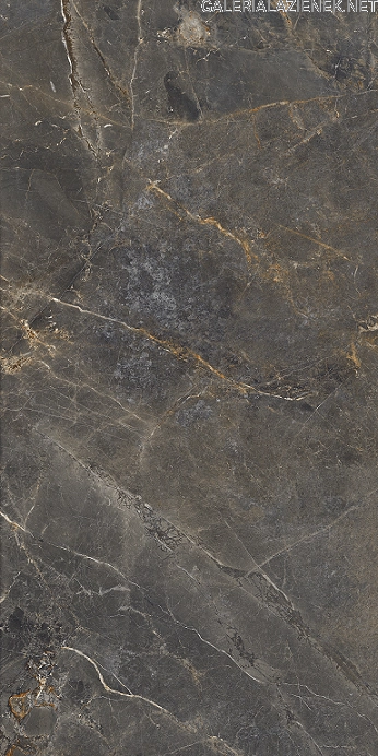 Sofija_grey_60x120_rf_8.png