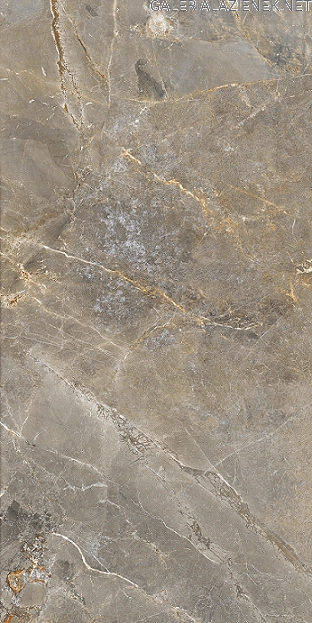 Sofija_beige_60x120_rf_3.png
