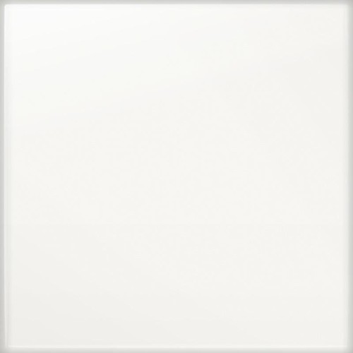 PASTEL BIAŁY 20X20 MAT.jpg