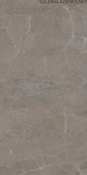WONDERSTONE LIGHT GREY 59,8X119,8 G.I POLER.jpg