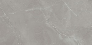 GREY PULPIS MAT 239,8X119,8 GAT.I 2,88 / 57,60M2