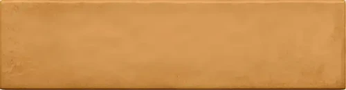 MASOVIA SENAPE A GLOSS STR.jpg