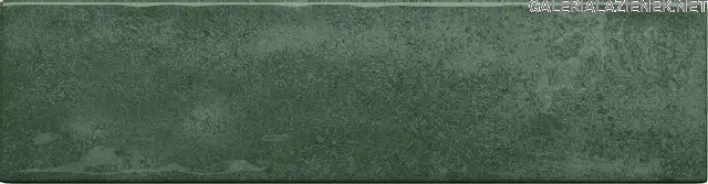 MASOVIA VERDE A GLOSS STR.jpg