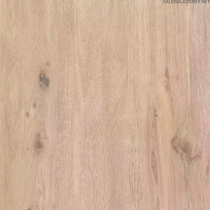 plyta-tarasowa-gres-garden-wood-rustbrown-60x6.jpg