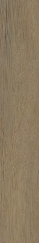 SPACEWOOD HONEY STRUKTURA MAT 19,8x119,8_T1@2x.webp