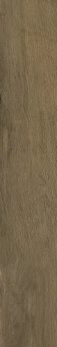 WARMWOOD HONEY STRUKTURA MAT 19,8x119,8_T1@2x.webp