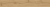 Primitive_Rovere_Medici_265x1800_1.jpg