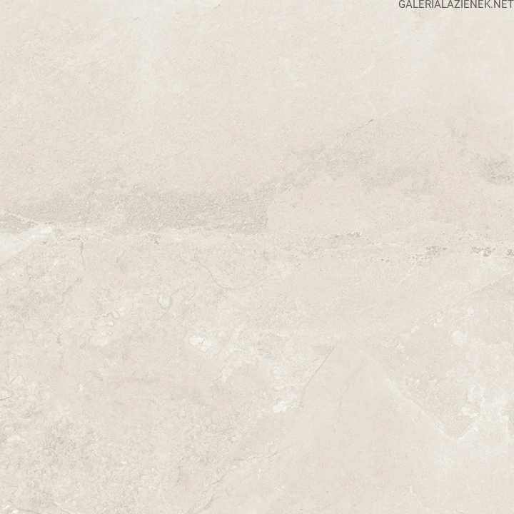 1e47bc3cbe2a9214633d7efd120a1f43