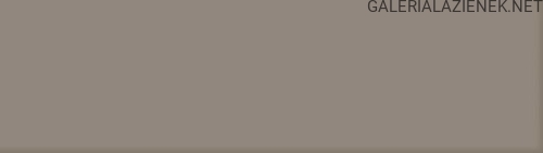 5a3fadef10a997dd6948f0739fa56bb2dbd43e7f_PS_Industria_Brown_448x148_6ieLLP0.jpg