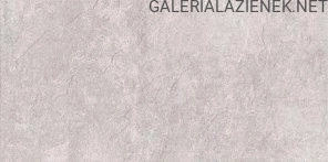 TGGZ1051627877_MORENCI_LIGHT_GREY_MATT_29_8X59_8_G1.jpg