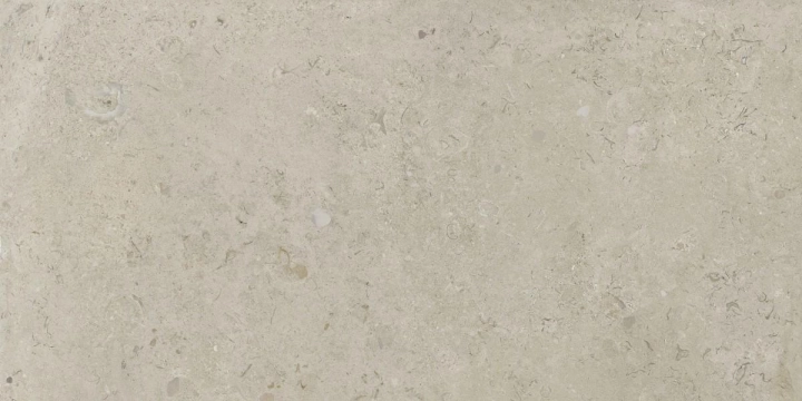 coralina beige.jpg