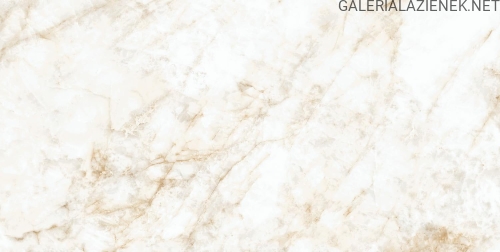 ALMADEN_60x120.jpg