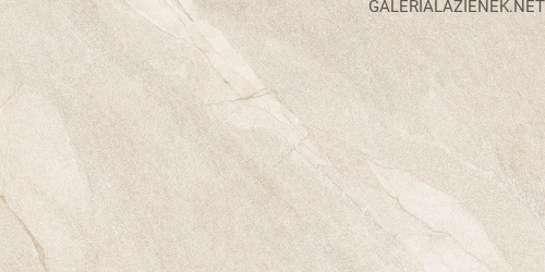 HALLEY-TAUPE-60X120-JPG.jpg