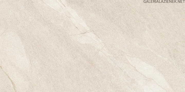 HALLEY-TAUPE-60X120-JPG.jpg