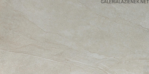 HALLEY-MUD-60X120-JPG.jpg
