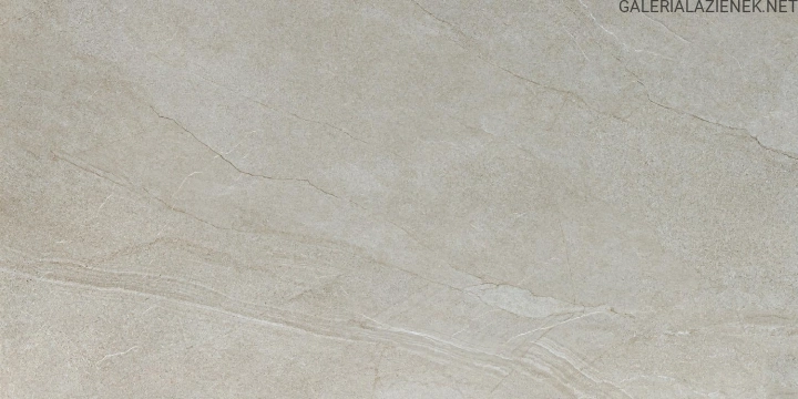 HALLEY-MUD-60X120-JPG.jpg