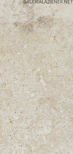 149030dc5d93abf2b90685668792ce9f7ffb8d19_Breccia_Fara_ivory_598x1198.jpg