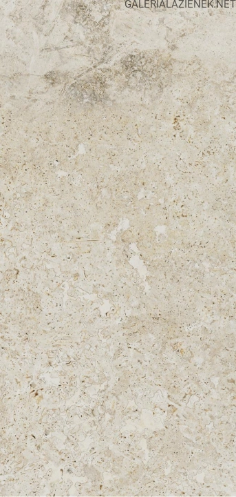 149030dc5d93abf2b90685668792ce9f7ffb8d19_Breccia_Fara_ivory_598x1198.jpg