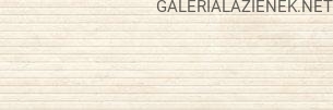 TWZR1025957893_TOSSA_LIGHT_BEIGE_STR_MATT_RECT_39_8X119_8_G1.jpg